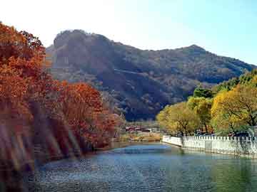 新澳门二四六天天开奖，非你莫属 文颐